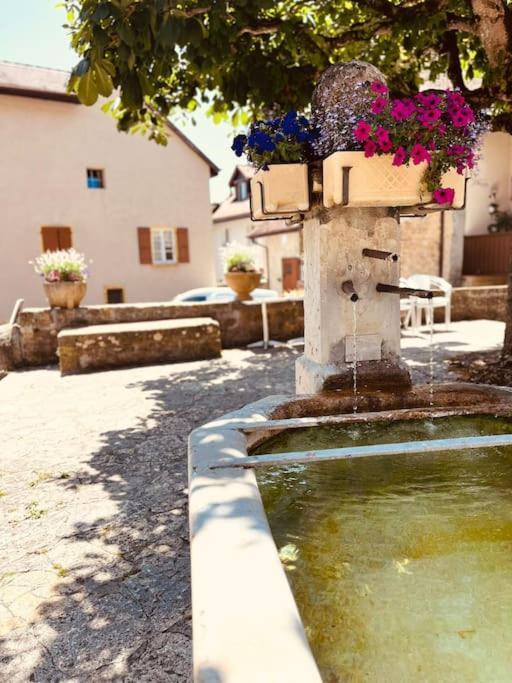 Charmant Appartement De Vacances Alta Ripa Hauterive  Zewnętrze zdjęcie