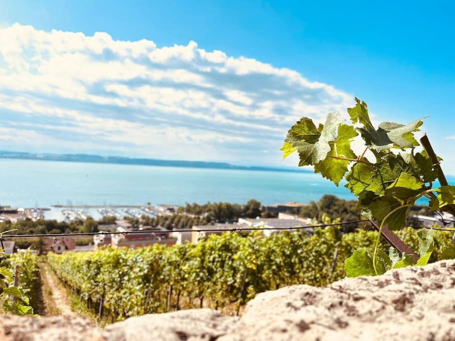Charmant Appartement De Vacances Alta Ripa Hauterive  Zewnętrze zdjęcie
